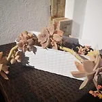 Family Surf - *