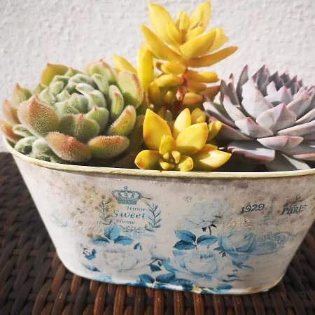 Family Surf - ホステル *