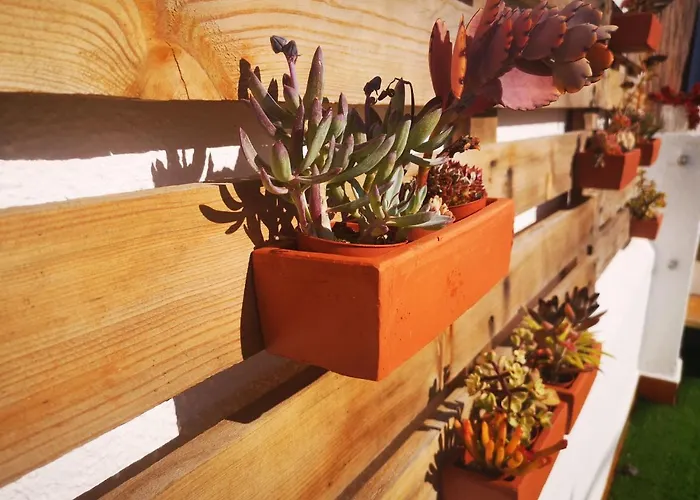 Family Surf - * מאפרה